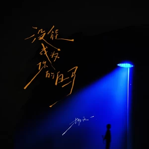 杨天一 - 没能成为你的白马（没能看你穿上婚纱）