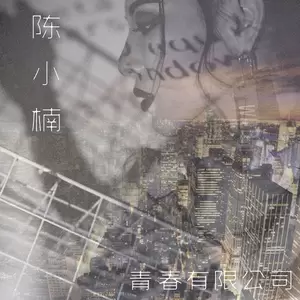 陈小楠 - 青春有限公司(伴奏)