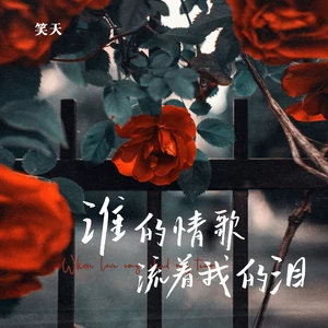 笑天 - 谁的情歌流着我的泪