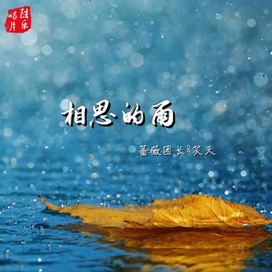 蔷薇团长/笑天 - 相思的雨(Dj默涵版)