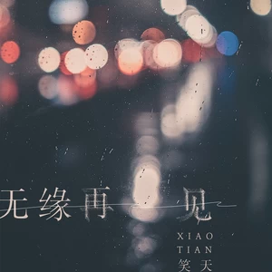 笑天 - 无缘再见(伴奏)