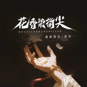 蔷薇团长/笑天 - 花香染指尖(伴奏)