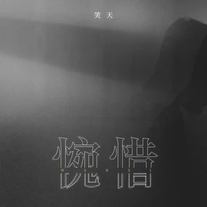 惋惜(DJ默涵版)