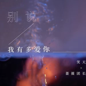 笑天/蔷薇团长 - 别说我有多爱你