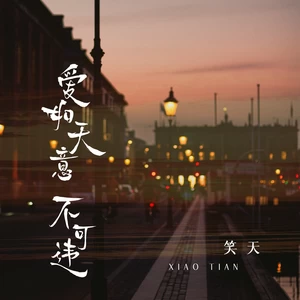 笑天 - 爱如天意不可违(伴奏)