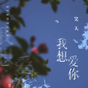笑天 - 我想爱你