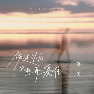 笑天 - 伤过以后不想再爱谁(DJ沈念版)