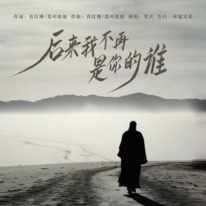 笑天 - 后来我不再是你的谁(男版伴奏)