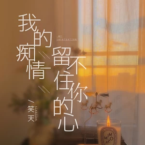 笑天 - 我的痴情留不住你的心
