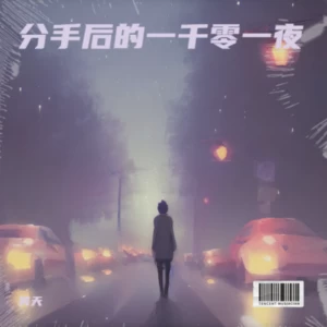 笑天 - 分手后的一千零一夜(伴奏)