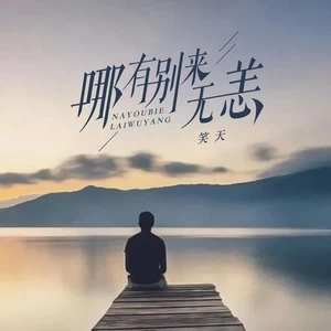 笑天 - 哪有别来无恙（DJ默涵版）(伴奏)