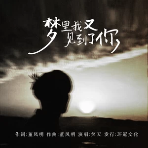 笑天 - 梦里我又见到了你(伴奏)
