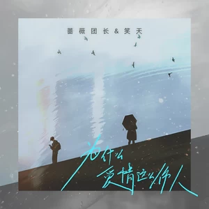 笑天/蔷薇团长 - 为什么爱情这么伤人(DJ默涵版)
