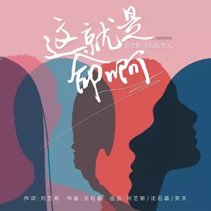 沈石磊 - 这就是命啊（DJ默涵）