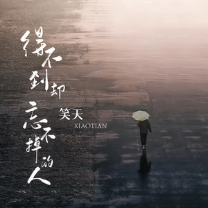 得不到却忘不掉的人(伴奏)