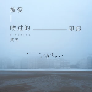 被爱吻过的印痕