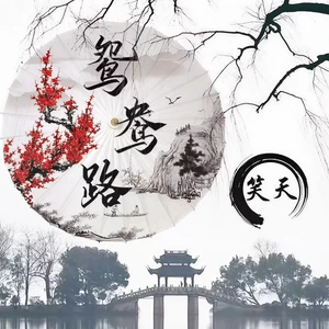 鸳鸯路(伴奏)