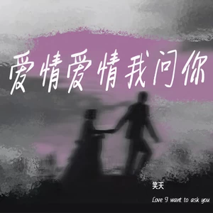 爱情爱情我问你(DJheap九天版)
