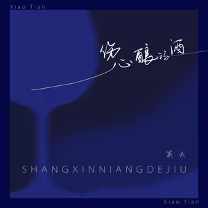 伤心酿的酒(伴奏)