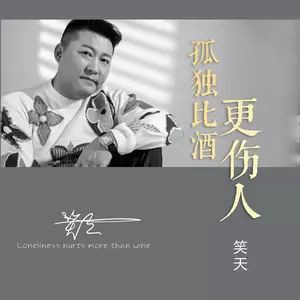 孤独比酒更伤人(DJ默涵版)