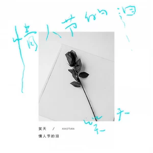 情人节的泪