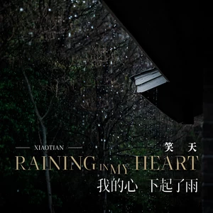 我的心下起了雨