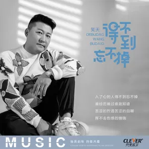 得不到忘不掉(伴奏)