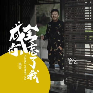 成全你 忘了我(DJ沈念)