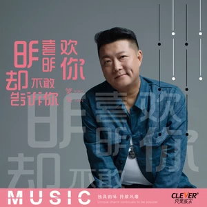明明喜欢你却不敢告诉你(DJ何鹏版伴奏)