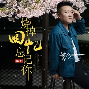 烧掉回忆忘记你（DJ沈念）(伴奏)