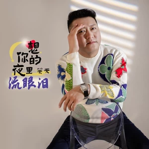 想你的夜里流眼泪(伴奏)