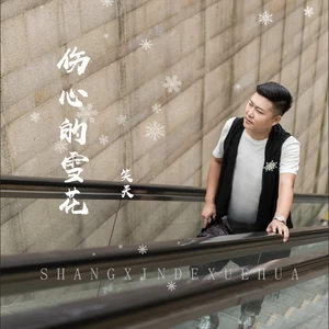 伤心的雪花(DJ何鹏版)