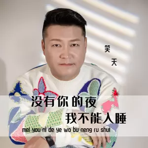 没有你的夜我不能入睡(伴奏)