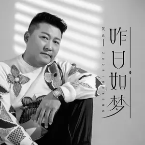 昨日如梦(DJ沈念版伴奏)