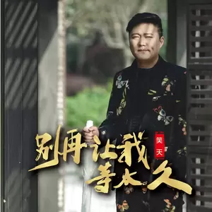 笑天 - 别再让我等太久(DJ何鹏版)