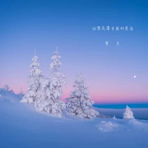 让雪花带走我的思念（Dj何鹏版）