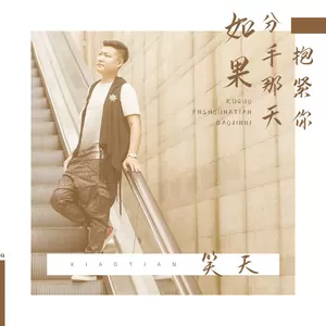 如果分手那天抱紧你(DJ何鹏版)