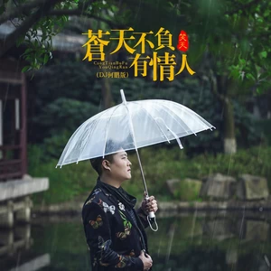苍天不负有情人(DJ何鹏版伴奏)
