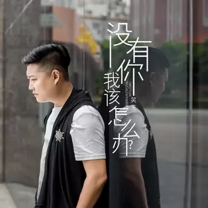 没有你我该怎么办(伴奏)