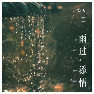 雨过添情