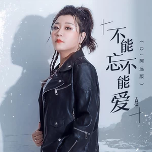 吉萍 - 不能忘不能爱(DJ阿远版伴奏)