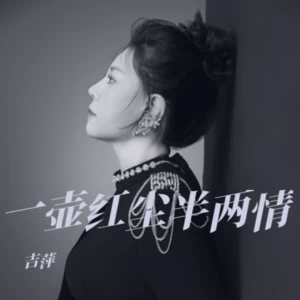 吉萍 - 《一壶红尘半两情》 (DJ阿远版)(伴奏)