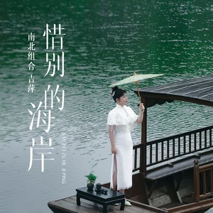 吉萍 - 惜别的海岸(伴奏)