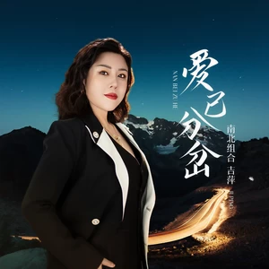 吉萍 - 爱已分岔(DJ默涵版)