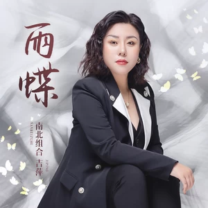 吉萍 - 雨蝶(DJ默涵版伴奏)