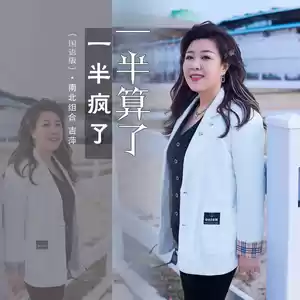 吉萍 - 一半疯了一半算了(DJ默涵国语版伴奏)