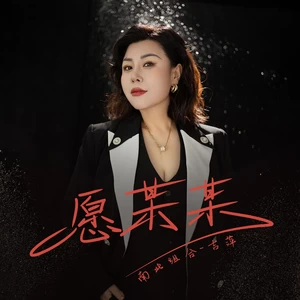 吉萍 - 愿某某(伴奏)