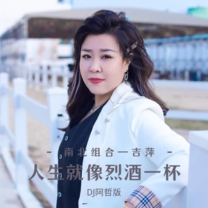 吉萍 - 人生就像烈酒一杯(DJ阿哲版)(伴奏)