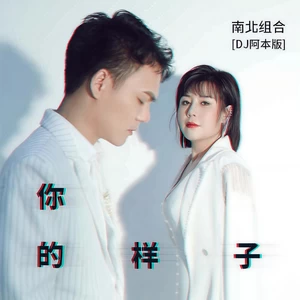 吉萍 - 你的样子(DJ阿本版)
