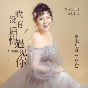 吉萍 - 我没有后悔遇见你(DJ默涵版)